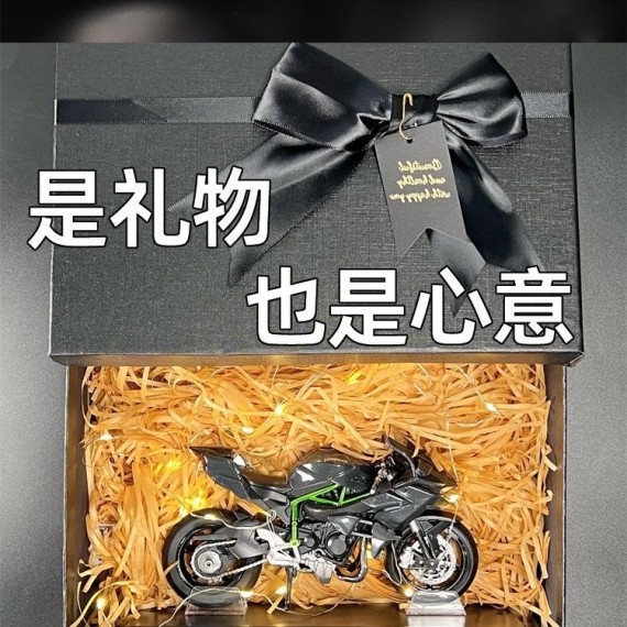 https://www.mint-storekr.com/products/mo-hinh-xe-h2r-md0003