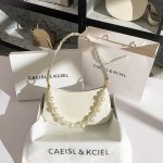 Túi CAEISL & KCIEL T0028